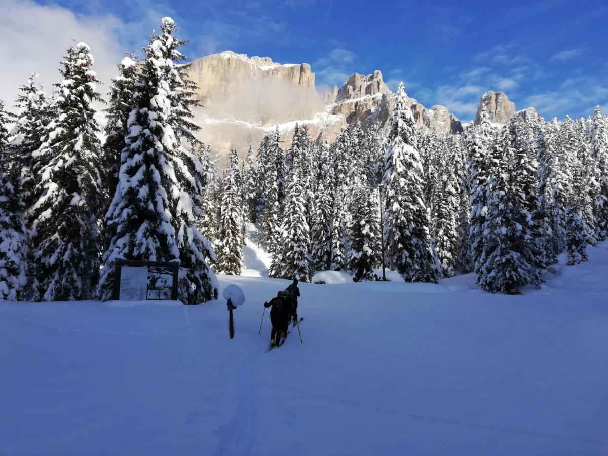Appartamenti Chalet Orchidea Canazei Exterior foto
