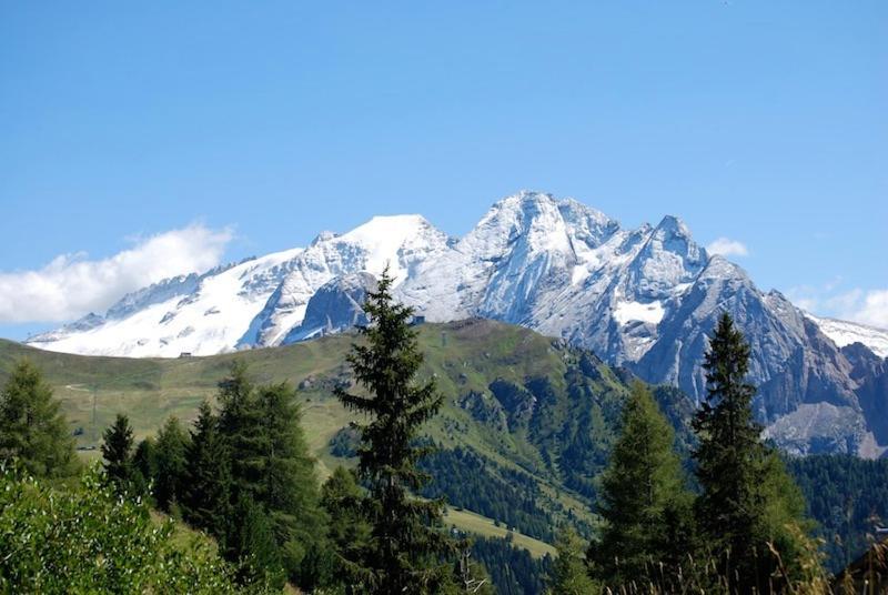 Appartamenti Chalet Orchidea Canazei Exterior foto