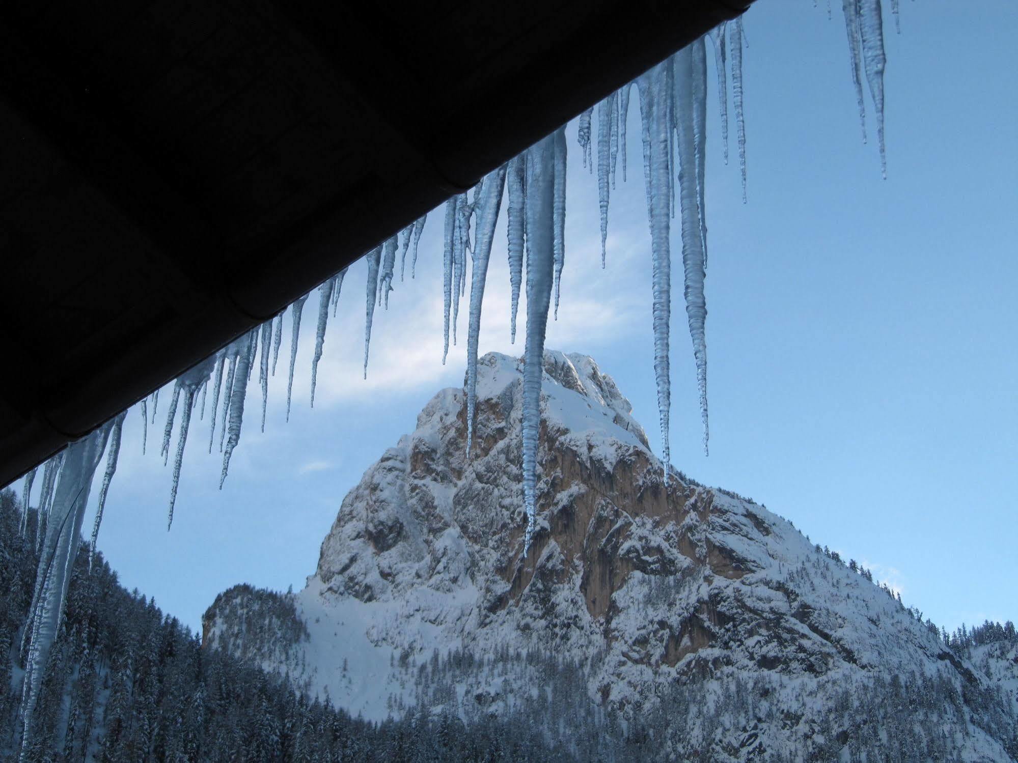 Appartamenti Chalet Orchidea Canazei Exterior foto